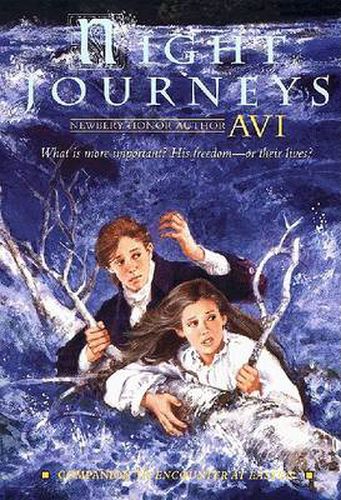 Cover image for Night Journeys