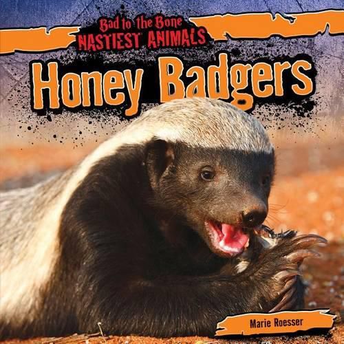 Cover image for Honey Badgers