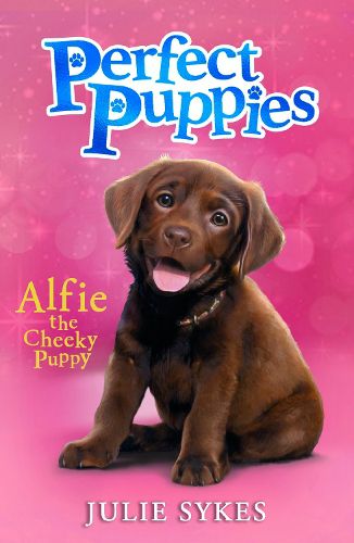 Cover image for Perfect Puppies Book 1