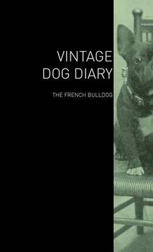 Cover image for The Vintage Dog Diary - The French Bulldog