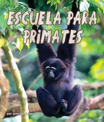 Escuela Para Primates (Primate School)