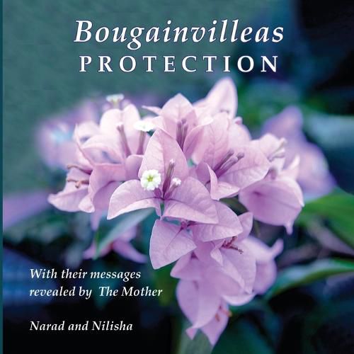 Cover image for Bougainvilleas PROTECTION