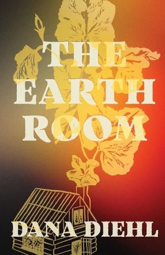Cover image for The Earth Room