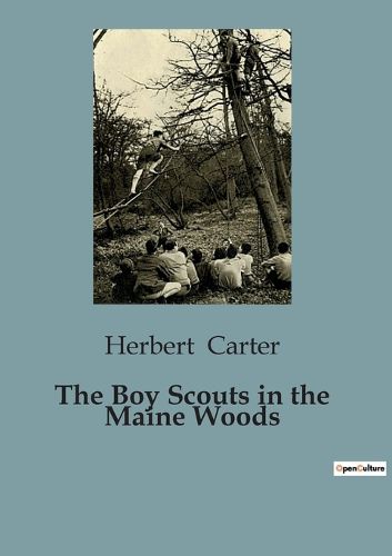 Cover image for The Boy Scouts in the Maine Woods