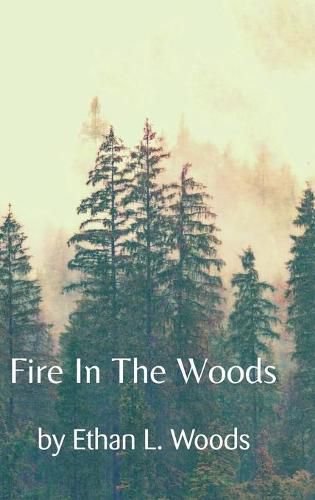 Cover image for Fire in the Woods
