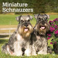 Cover image for Schnauzers Miniature Intl 2020 Square Wall Calendar