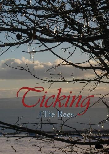 Cover image for Ticking