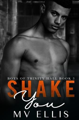 Cover image for Shake You