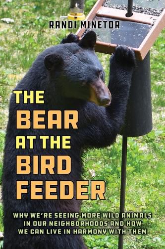 Cover image for The Bear at the Bird Feeder