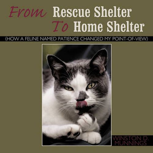 Cover image for From Rescue Shelter to Home Shelter