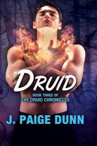 Cover image for Druid: Book Three of the Druid Chronicles