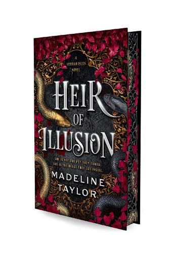 Cover image for Heir of Illusion