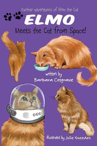 Cover image for Elmo Meets the Cat from Space!