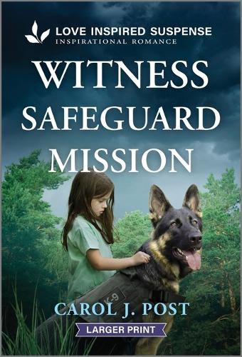 Cover image for Witness Safeguard Mission