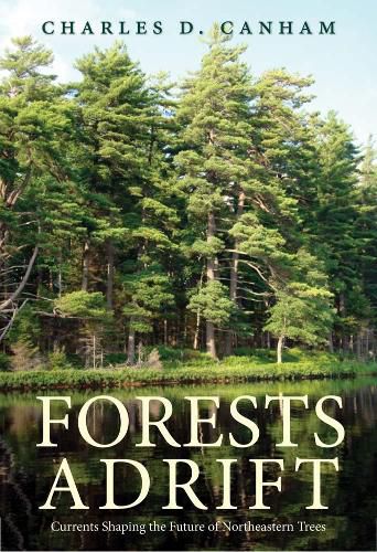 Cover image for Forests Adrift: Currents Shaping the Future of Northeastern Trees