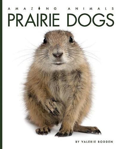 Cover image for Prairie Dogs