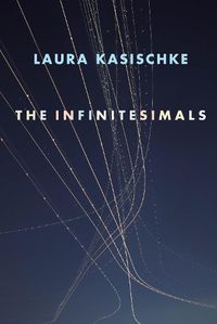 Cover image for The Infinitesimals