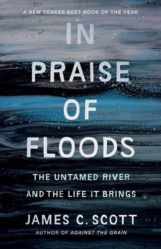 Cover image for In Praise of Floods