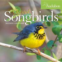 Cover image for 2020 Audubon Sweet Songbirds Mini Wall Calendar