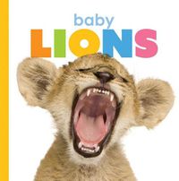 Cover image for Baby Lions