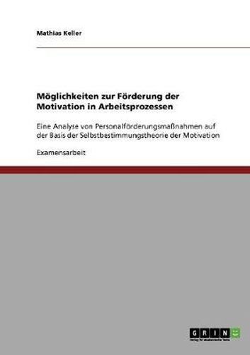 Cover image for Moeglichkeiten zur Foerderung der Motivation in Arbeitsprozessen: Eine Analyse von Personalfoerderungsmassnahmen auf der Basis der Selbstbestimmungstheorie der Motivation
