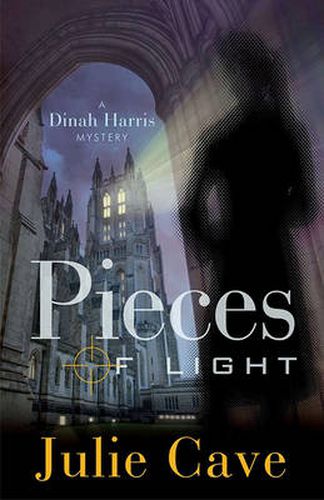 Cover image for Pieces of Light