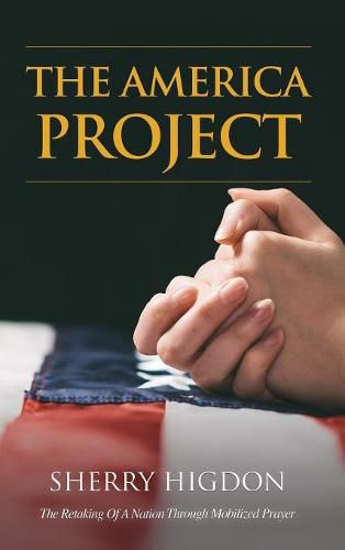 Cover image for The America Project