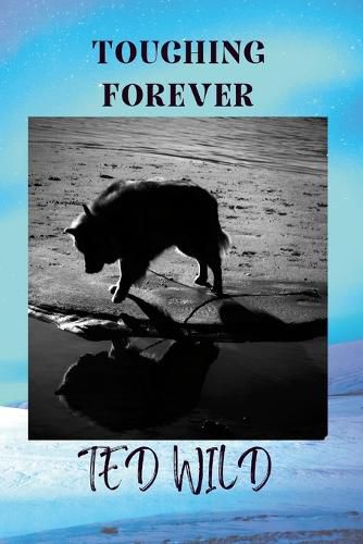 Cover image for Touching Forever