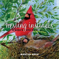 Cover image for Nesting Instincts: A Bird's-Eye View