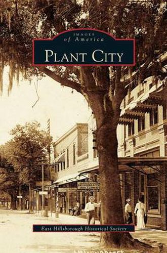 Cover image for Plant City