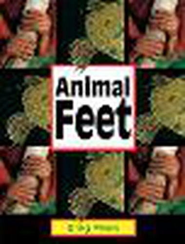 Cover image for Rigby Literacy Early Level 2: Animal Feet (Reading Level 6/F&P Level D)