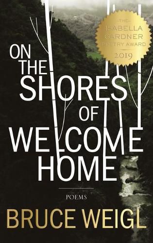 Cover image for On the Shores of Welcome Home