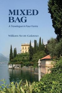 Cover image for Mixed Bag: A Travelogue in Four Forms