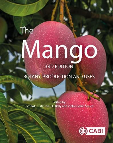 Cover image for The Mango