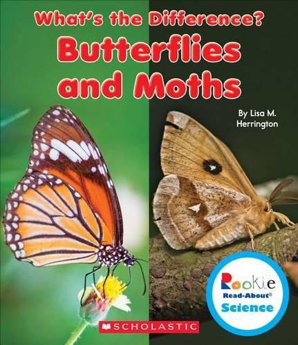 Cover image for Butterflies and Moths