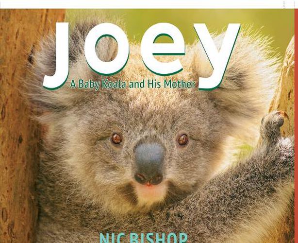 Cover image for Joey: A Baby Koala and His Mother