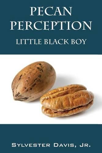 Cover image for Pecan Perception: Little Black Boy