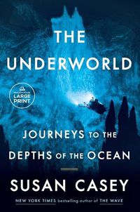 Cover image for The Underworld