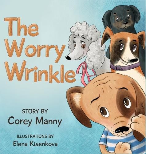 Cover image for The Worry Wrinkle