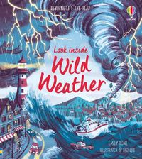 Cover image for Look Inside Wild Weather