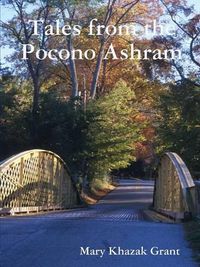 Cover image for Tales from the Pocono Ashram