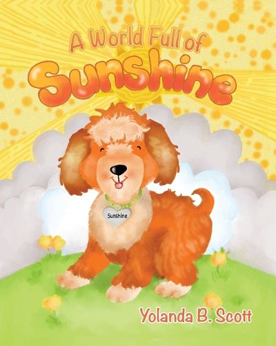 Cover image for A World Full of Sunshine