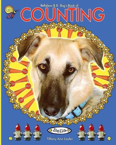 Cover image for Bellaboo & Bbug's Book of Counting