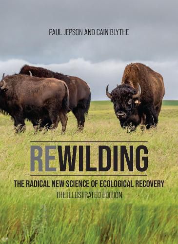 Cover image for Rewilding: The Radical New Science of Ecological Recovery: The Illustrated Edition