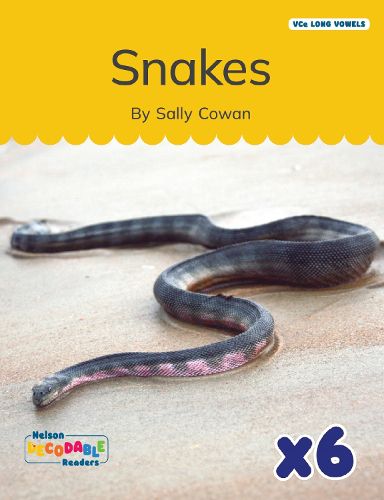 Cover image for Snakes x 6 (VCe Long Vowels)