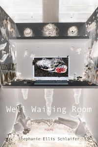 Cover image for Well Waiting Room