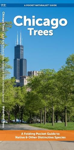 Cover image for Chicago Trees: A Folding Pocket Guide to Familiar Plants