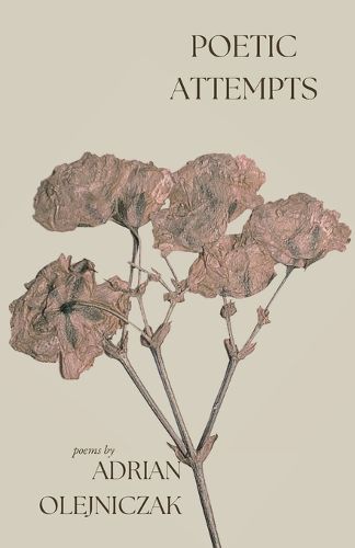 Cover image for poetic attempts