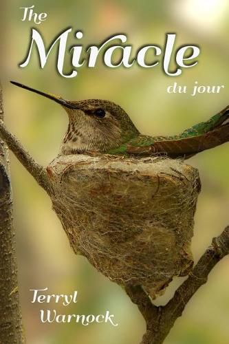 Cover image for The Miracle du jour