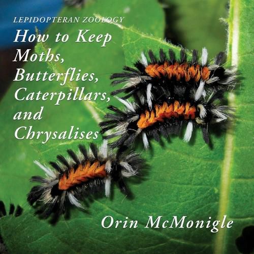 Cover image for Lepidopteran Zoology: How to Keep Moths, Butterflies, Caterpillars, and Chrysalises